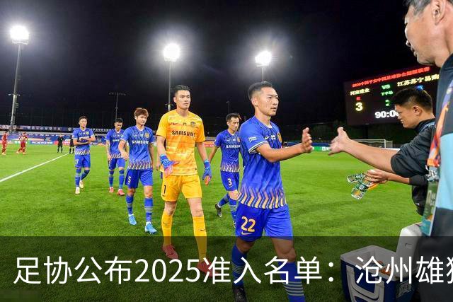 足协公布2025准入名单：沧州雄狮、广州队无缘